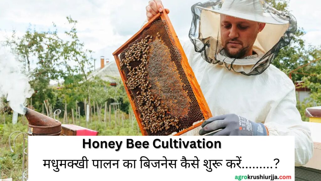 Honey Bee Cultivation