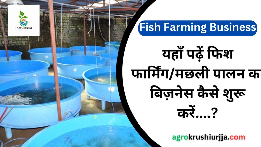 Fish Farming Business