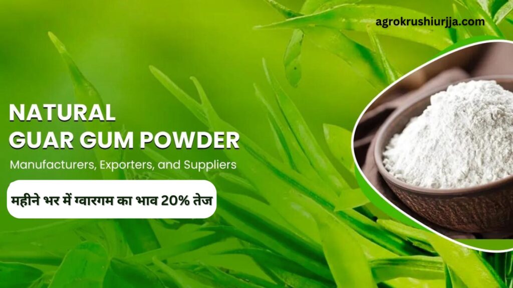 Guar Gum Powder Production