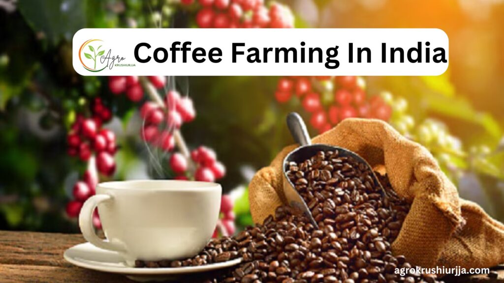 Coffee Farming In India