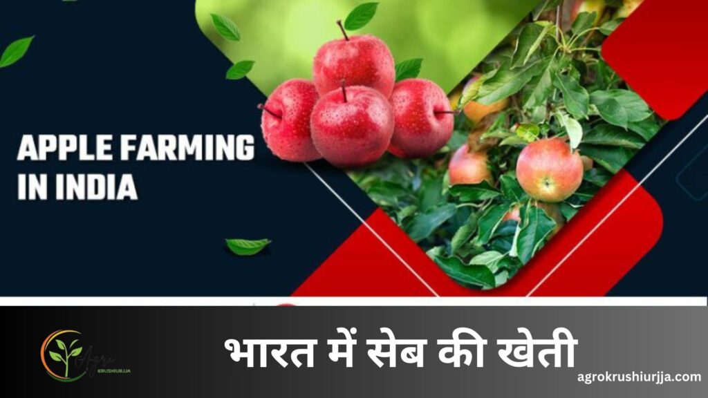 Apple Farm In India