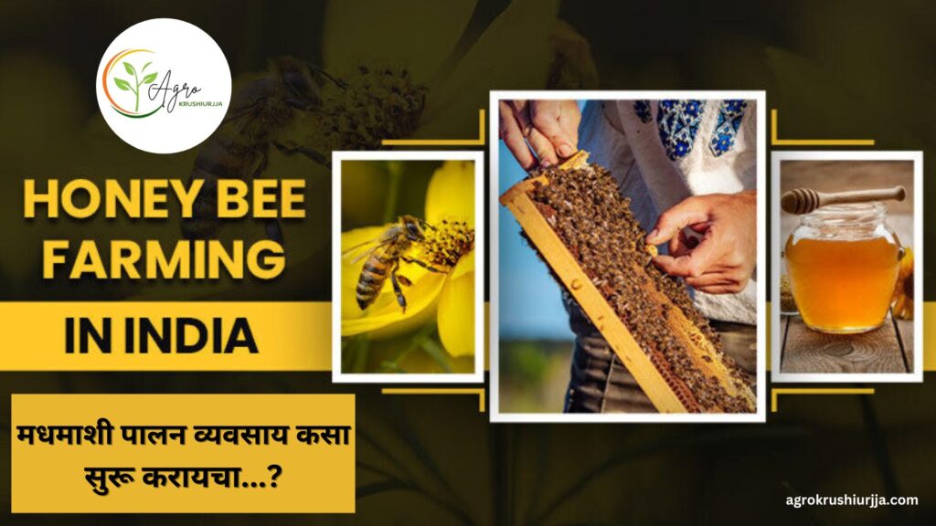 Honey Bee Farming In India
