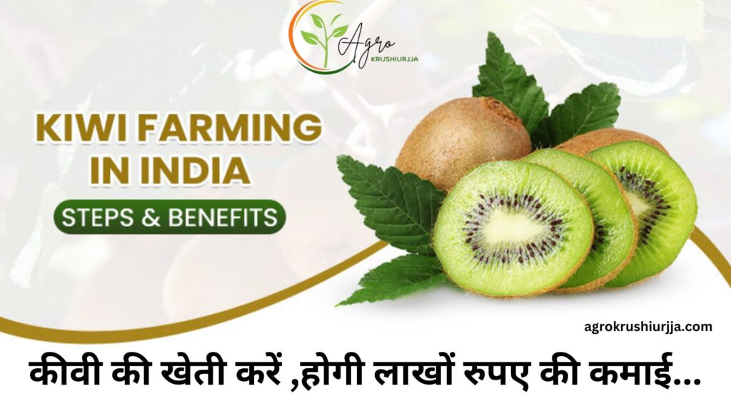 Kiwi Cultivation In India