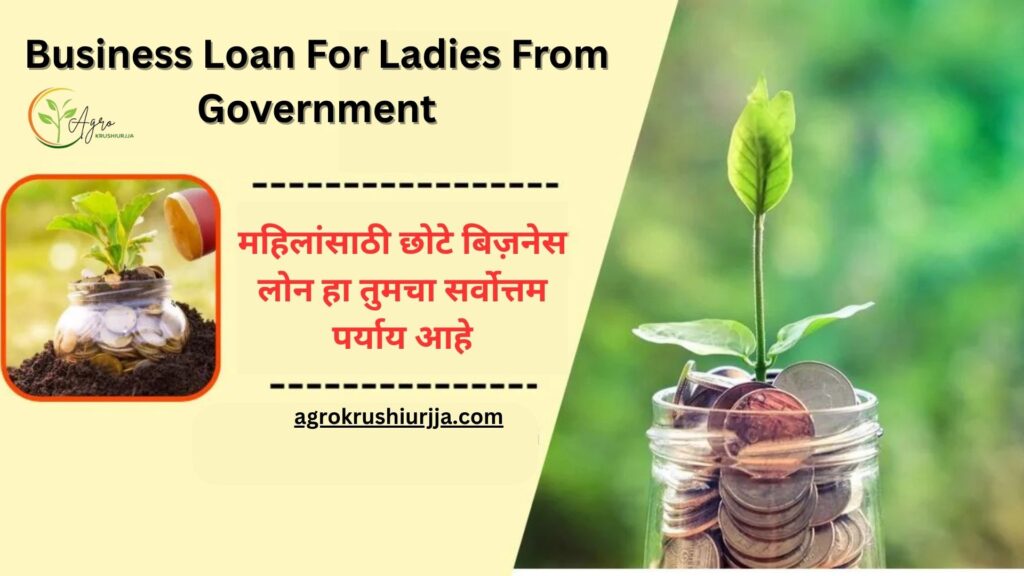 Business loan for ladies from government