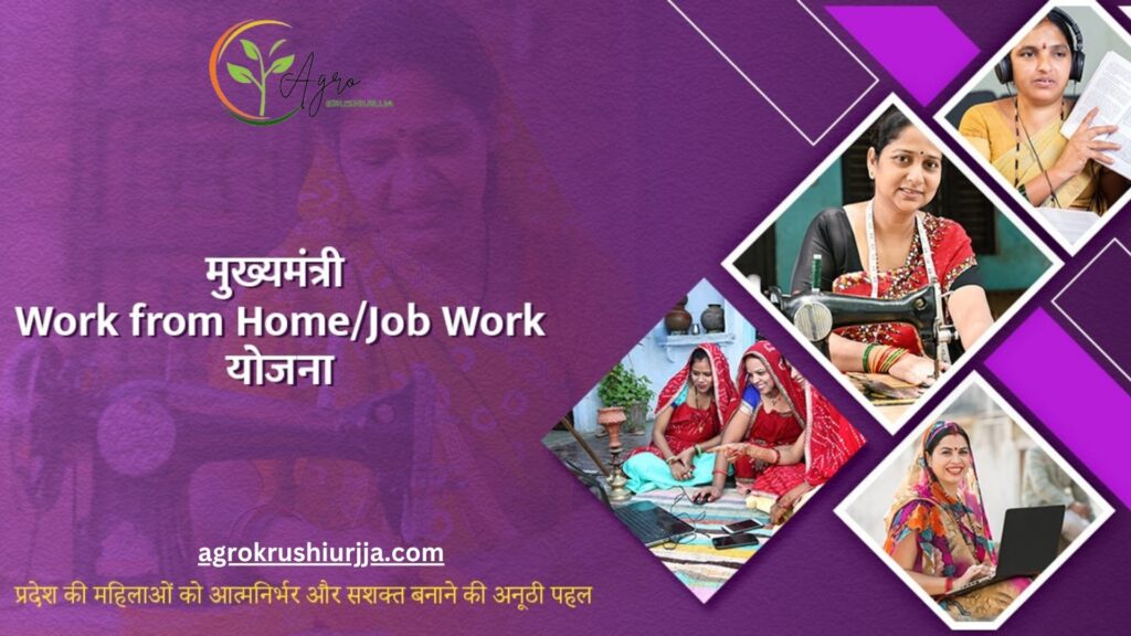 Packing Business Work form home