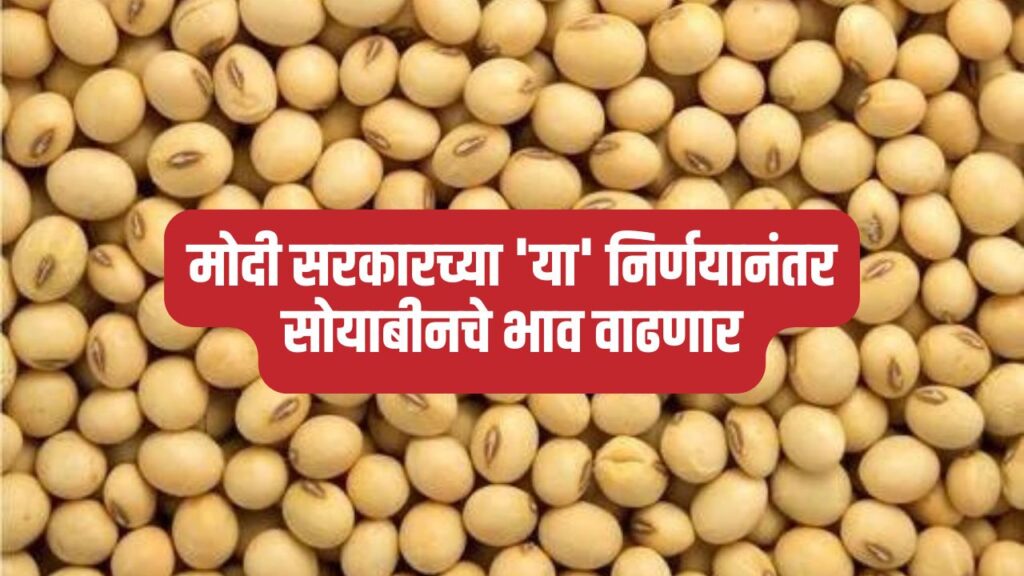 Soybean market