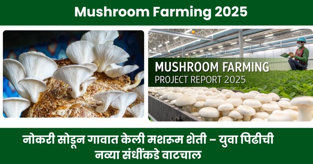 Mushroom Farming 2025